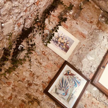 Villa Bacchetta - Forest View 올레기오카스텔로 외부 사진